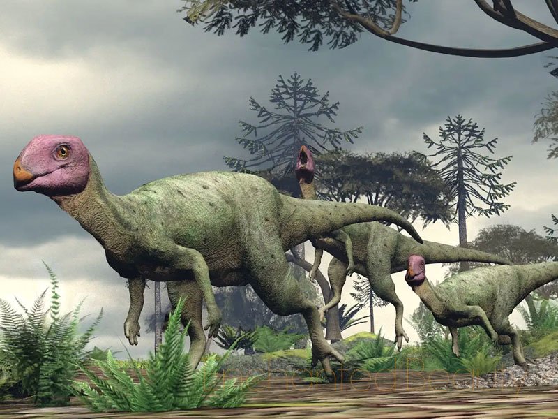 Celebrating-200-years-of-dinosaurs-being-named