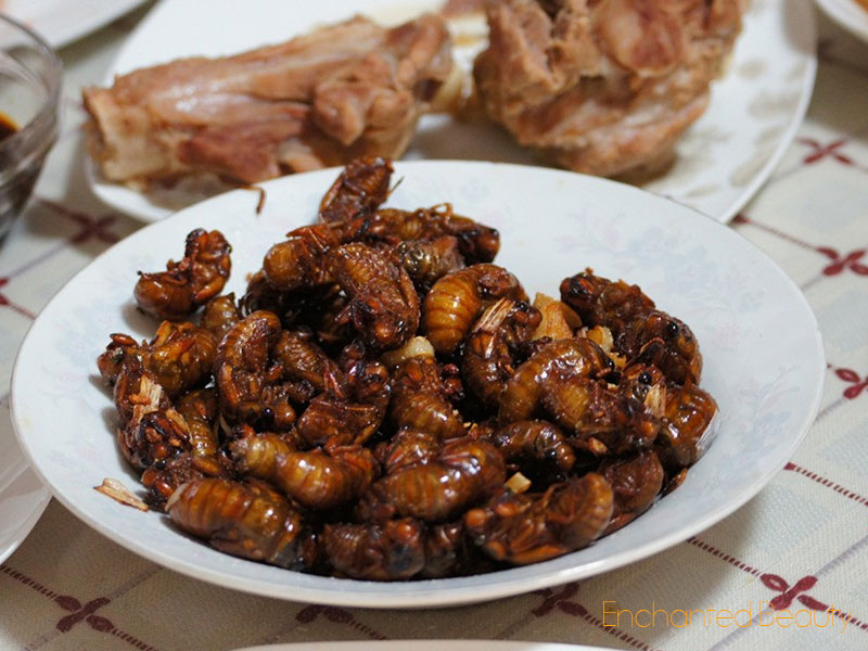 cicada-dishes-Can-cicadas-be-eaten-2