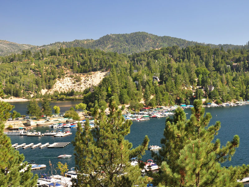 The-Lake-Arrowhead-Creature